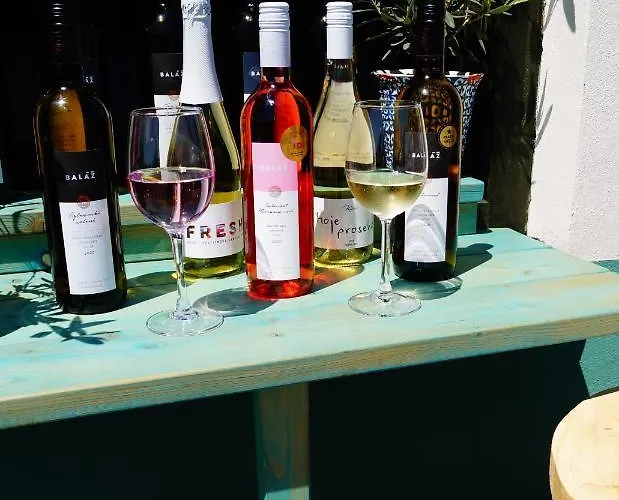 Pensionat Olivea & Wine Mikulov